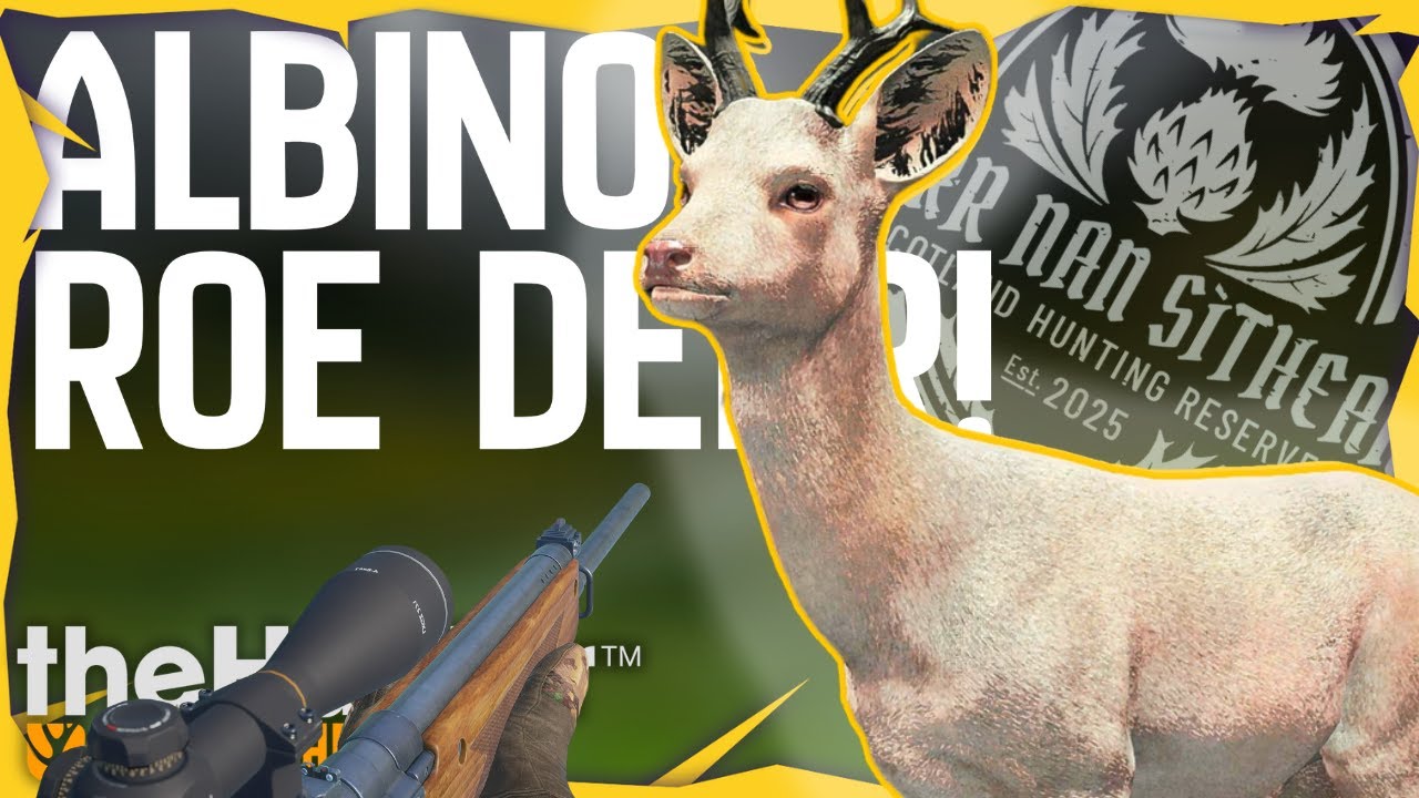 Scotland Brings us an ALBINO Roe Deer! | theHunter Call of the Wild