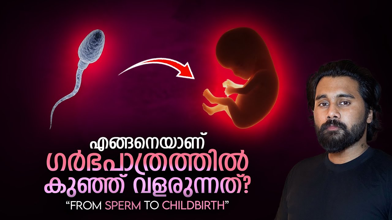 How Does A Baby Grow Inside Womb? | Month By Month DETAILED Explanation! SEX EDUCATION MALAYALAM