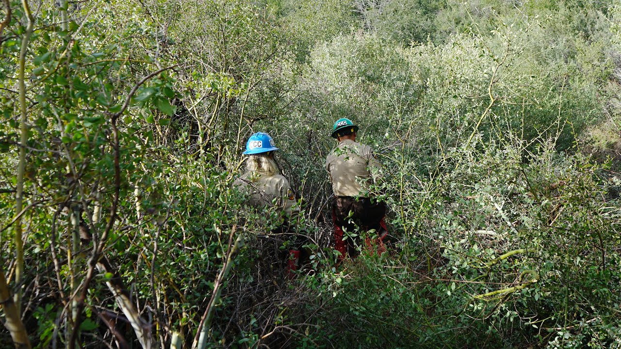 The Art of Trail Maintenance: Saws, Safety, Communication, & Collaboration
