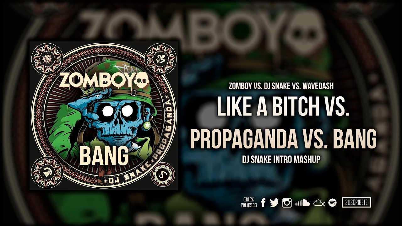 Like A Bitch vs. Propaganda vs. Terror Squad vs. Bang (DJ Snake Intro 2016 Edit)
