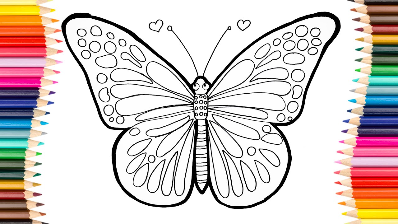 How to Draw a Butterfly