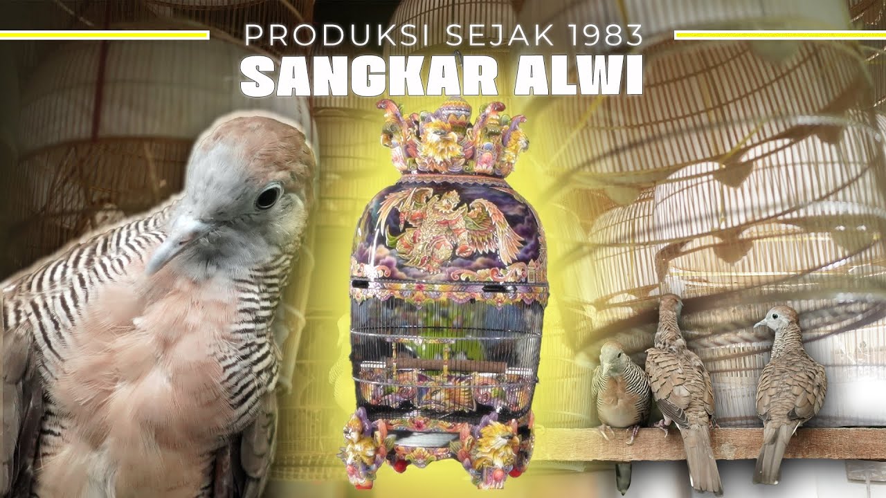 DARI 1983, BIKIN SANGKAR BURUNG SULTAN  ! TAPI GAK KENAL SAMA SEKALI DENGAN BURUNG !