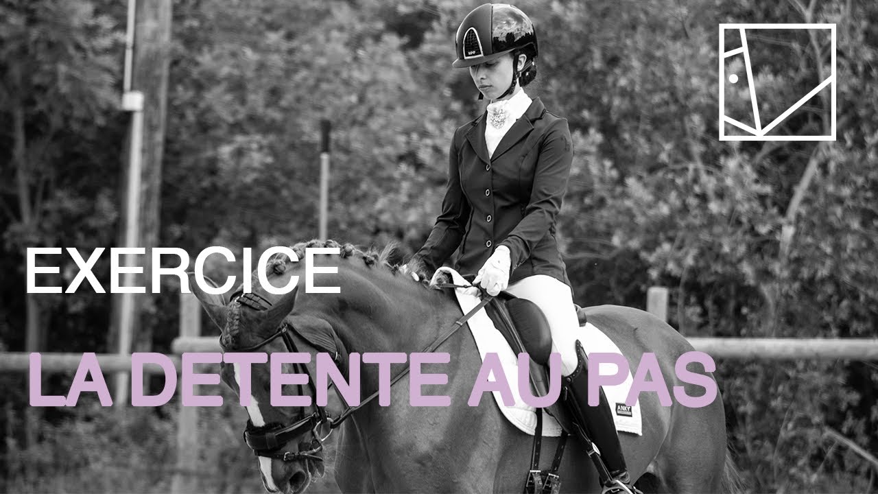Bien échauffer son cheval au pas / SERIE TECHNIQUE #3 /