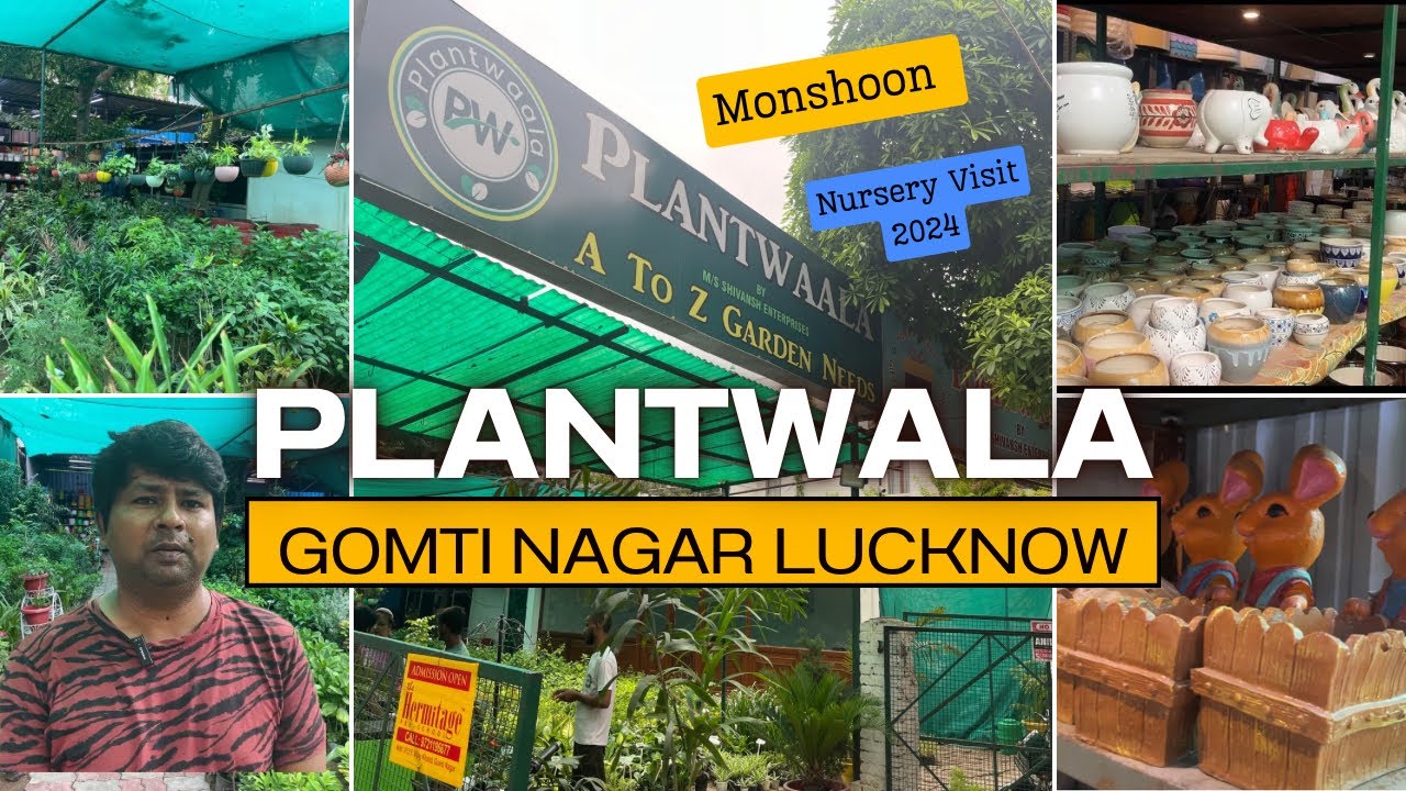PlantWala Gomti Nagar Lucknow | Nursery Visit #nurseryvisit #nurseryvlogs