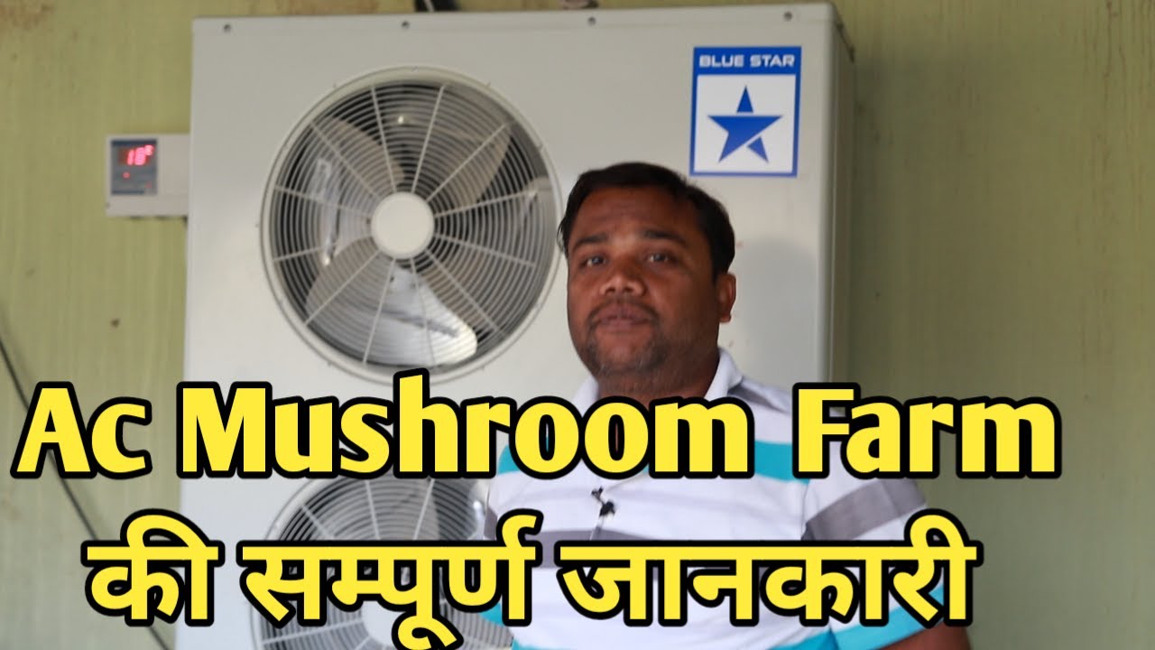 Hi Tech Button Mushroom Ac farm at Home ! Ghar pe kheti kare - Full information setup cost & Profit