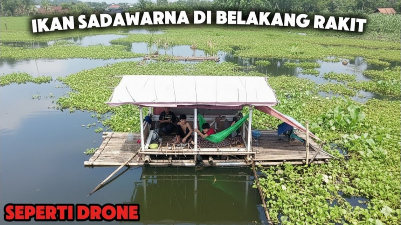 CAM FISHING Ep.44 Mancing Jauh-jauh ke Jebak eceng gondok, Eh Malah Terpaksa Mancing di Eceng! 