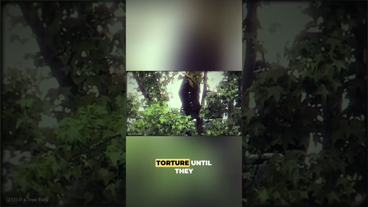 Tree defenders were pepper-sprayed by cops #activism #anticapitalism #environmentalism