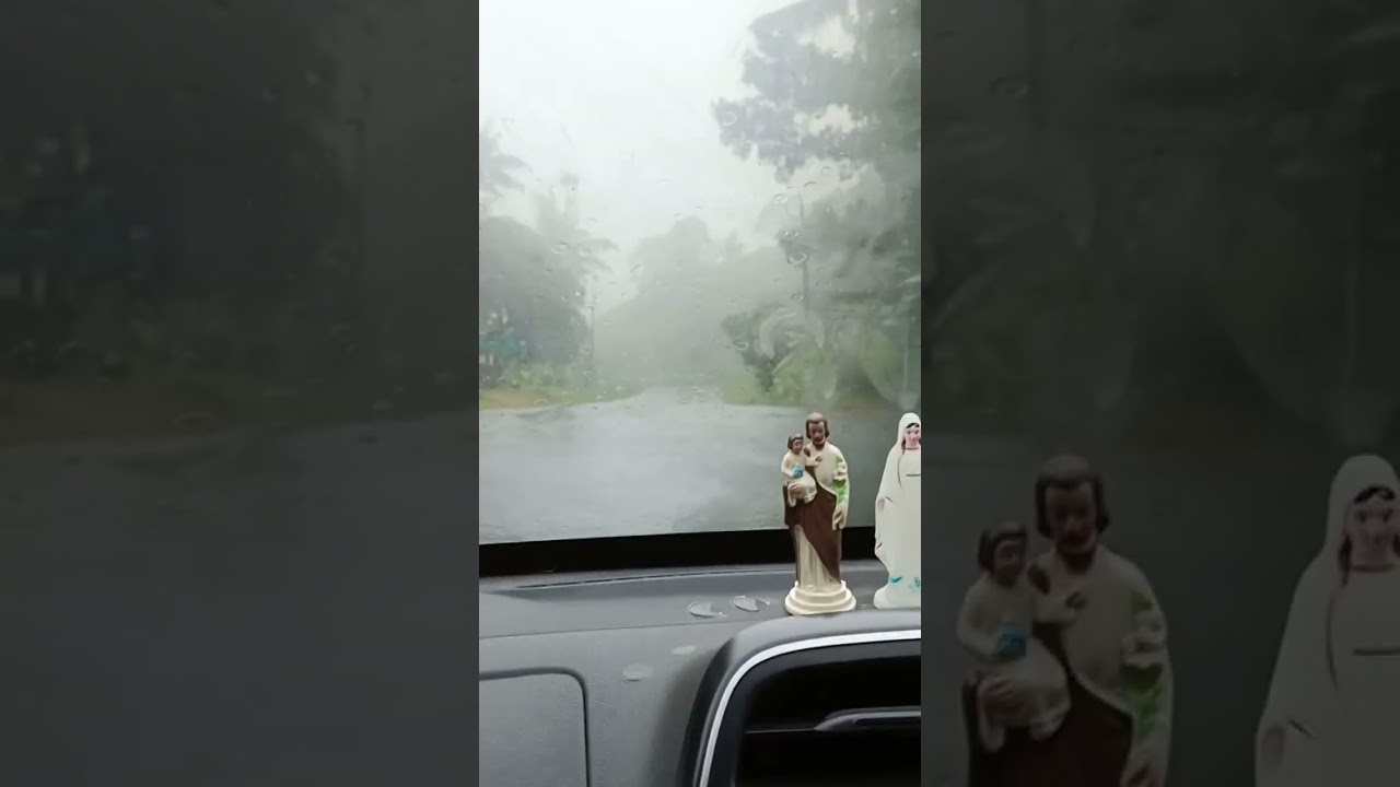 #rain #mist#nature #travel #idukki #forest