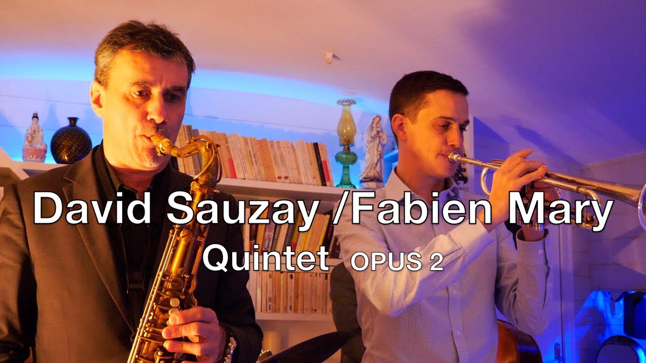 DAVID SAUZAY/FABIEN MARY  OPUS 2