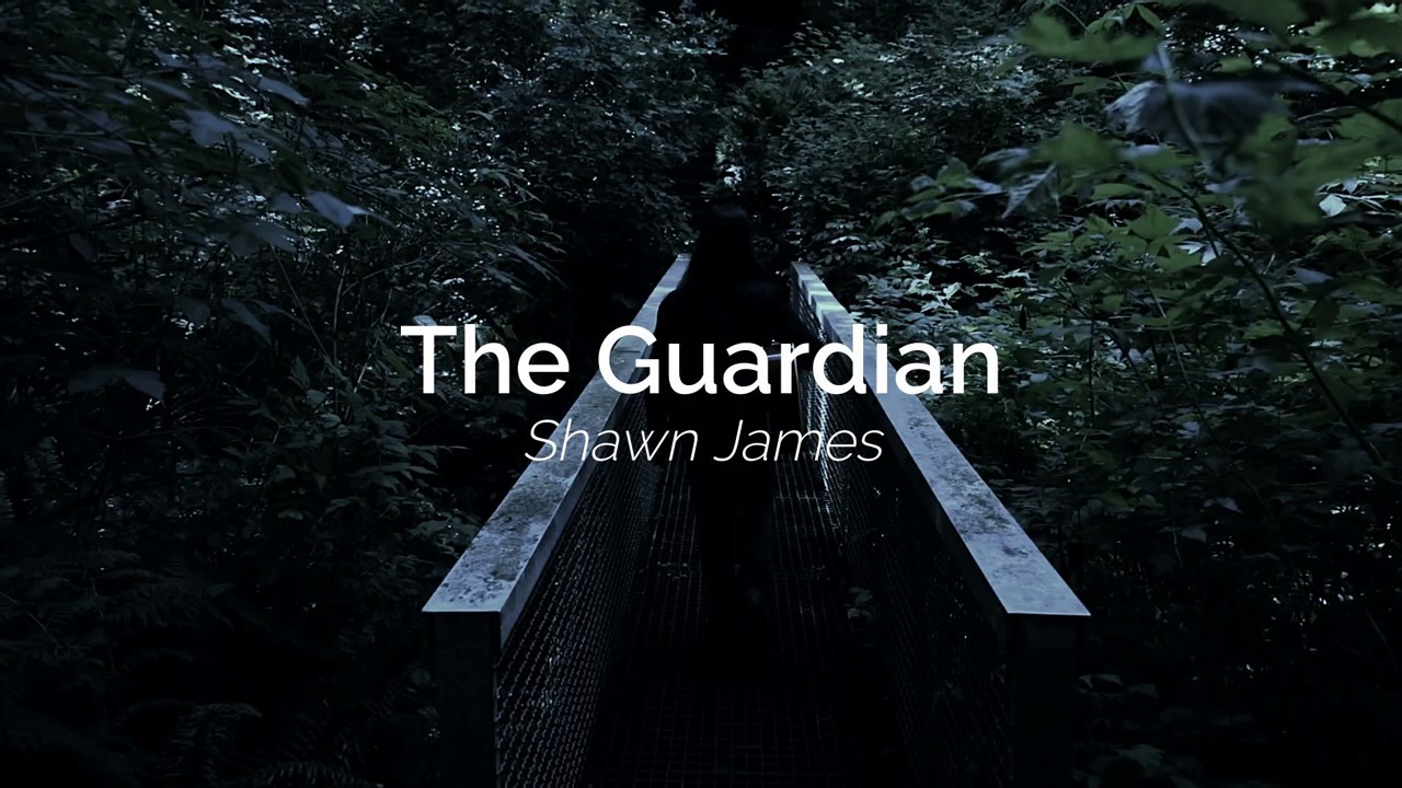 The Guardian - Shawn james (Sub Español / Lyrics)