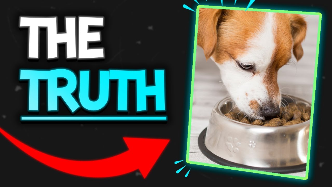 The Truth About Pet Nutrition w/ Dr. Danielle Conway | The Veterinary Roundtable - EP69