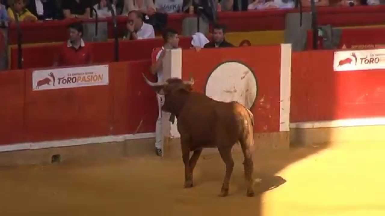 1º XXXII CAMPEONATO NACIONAL DE RECORTADORES CON ANILLAS ZARAGOZA 11 10 2014