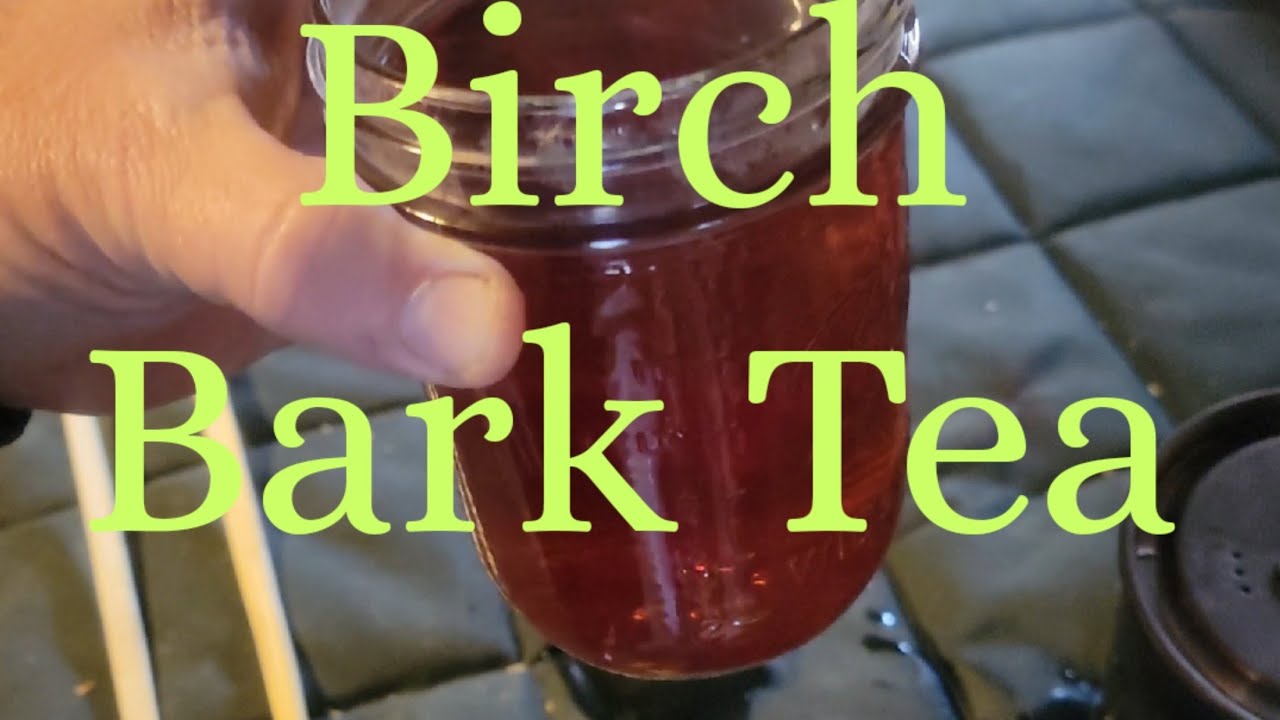 Birch Bark Tea