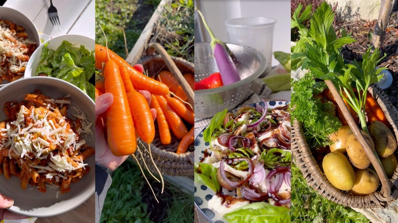 GARDEN TO TABLE DINNER COMPILATION! From Harvest to Plate!