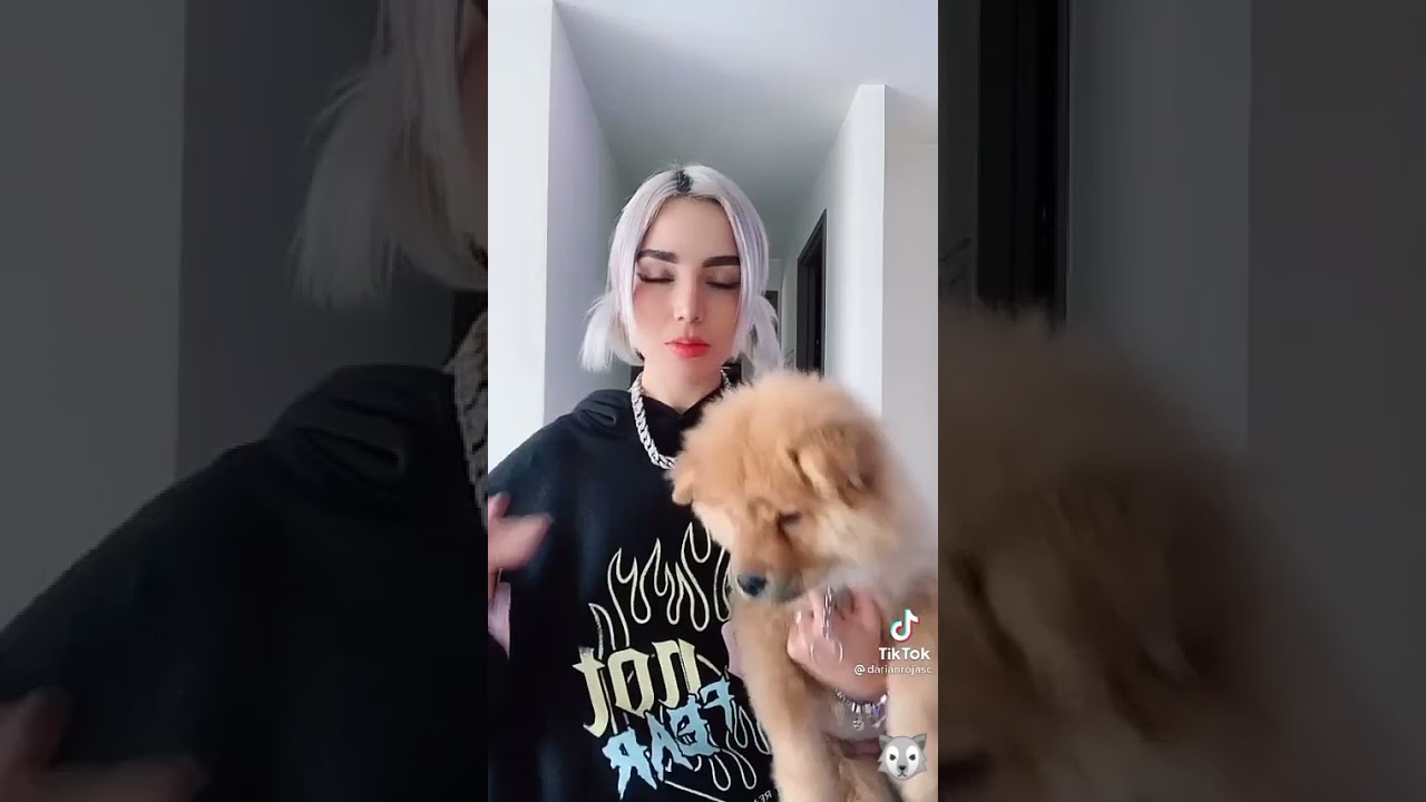 Tik tok de darianrojas😍