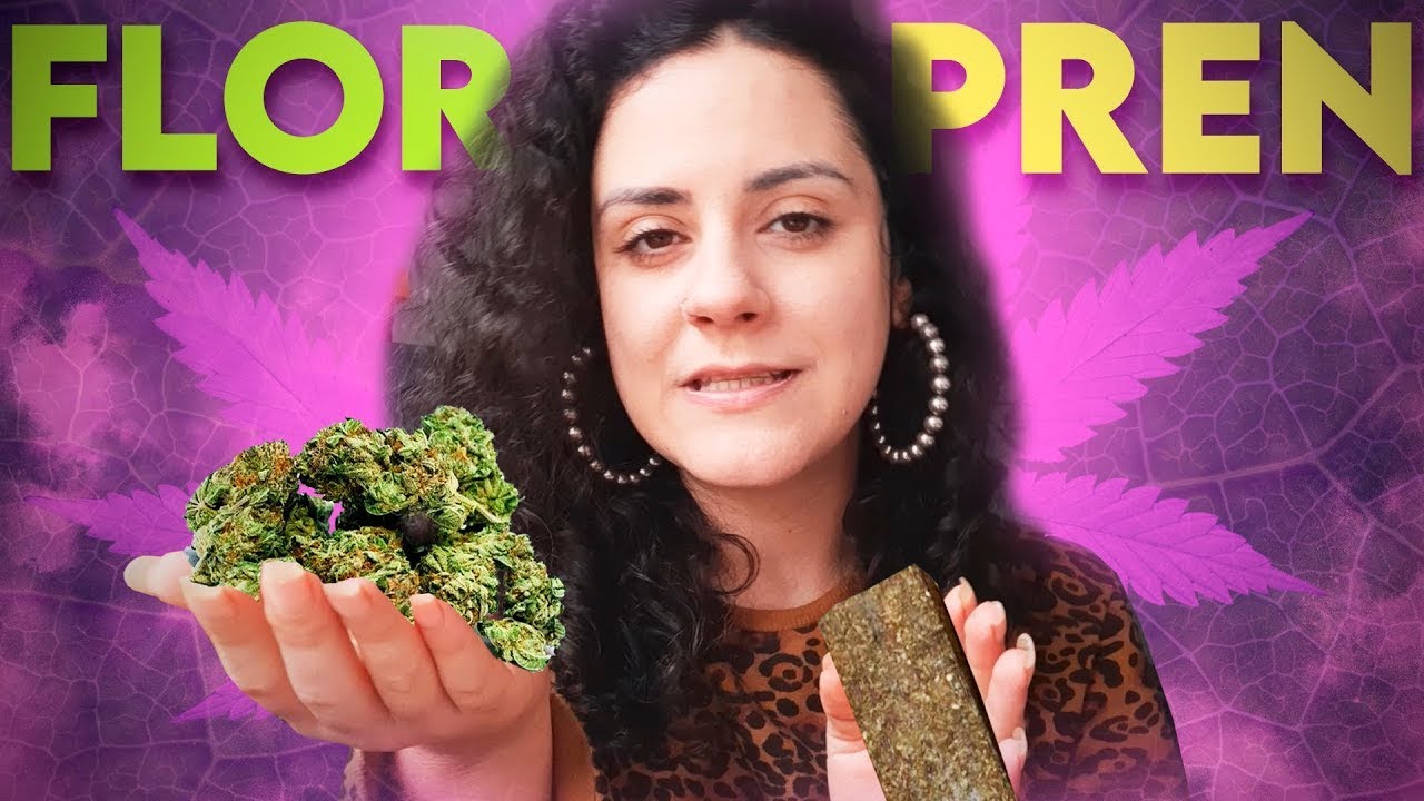 10g de FLOR x 10g de PRENSADO - QUANTO &Eacute;?