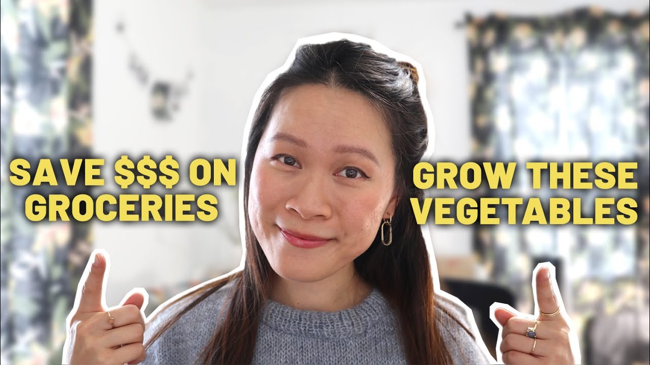 Want to SAVE MONEY? Grow THESE vegetables! (What to grow, what to avoid, varieties and tips)
