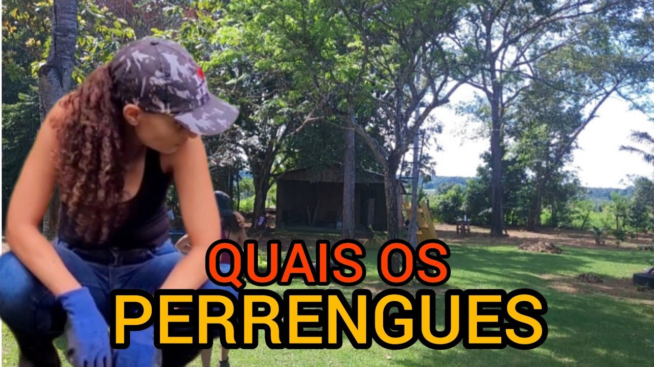 VALE A PENA TROCAR A CIDADE PELA ROÇA | QUAIS OS DESAFIOS | 8 MOTIVOS PARA VOCÊ PENSAR! #vidanaroça
