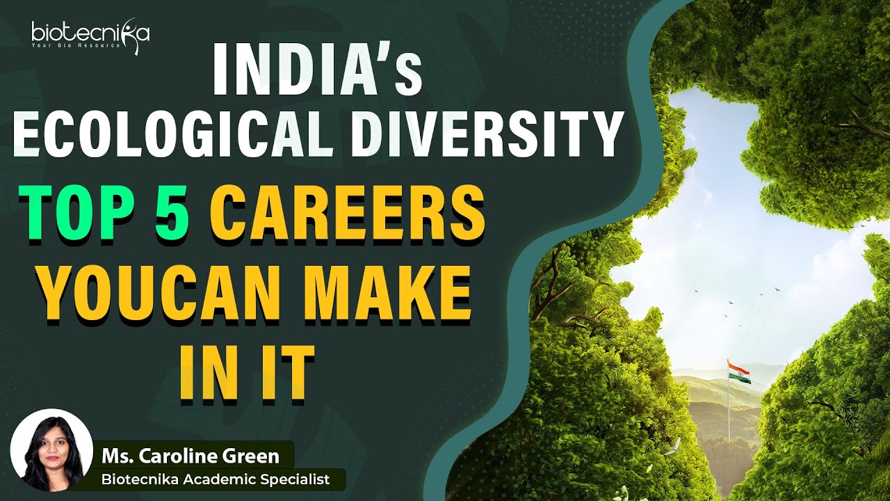 Top 5 Career Opportunities In The Field of Ecology