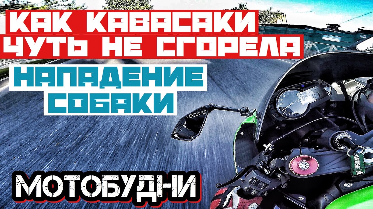 КАК КАВАСАКИ ЧУТЬ НЕ ЗАГОРЕЛАСЬ. НА МЕНЯ НАПАЛА СОБАКА.