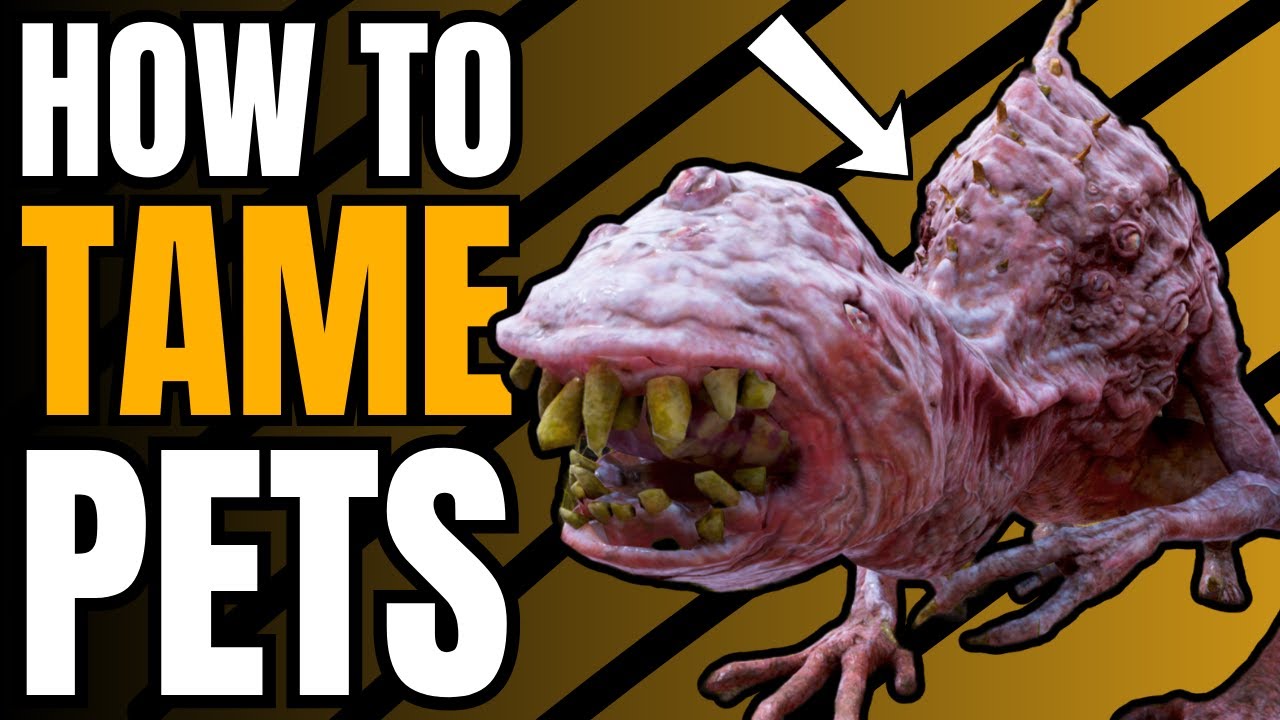 Fallout 76 Taming Guide | How To Get Pets For Your Camps!