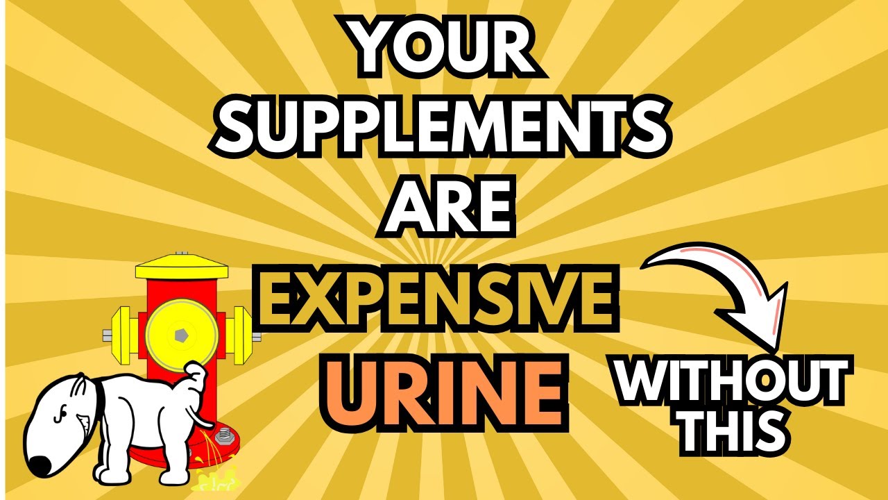 Your Supplements Are Expensive Urine &mdash; Unless You Do This