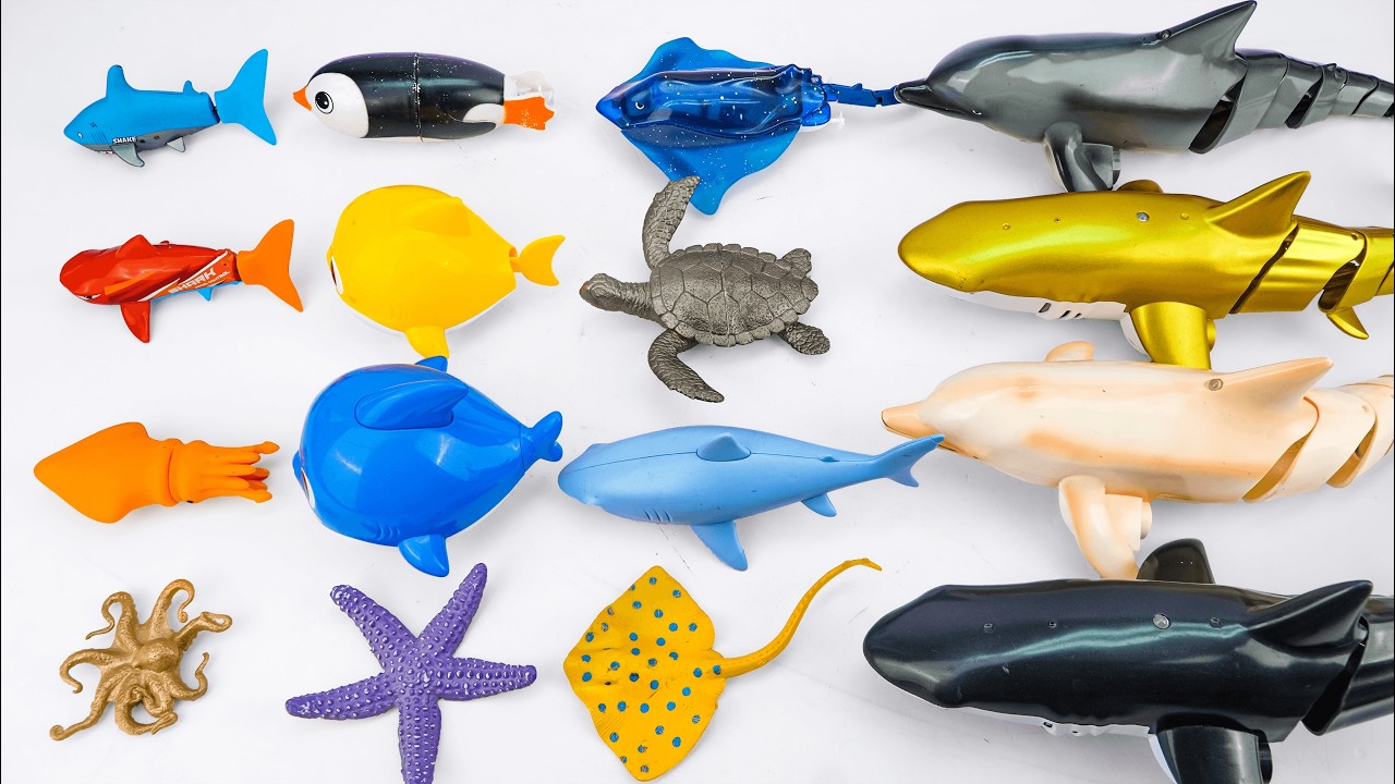 [🐋toy asmr🐋] ZURU Robo Mosasaurus & Sea Dinosaurs & Shark & Dino Battle Toys ASMR🌟Review Toys