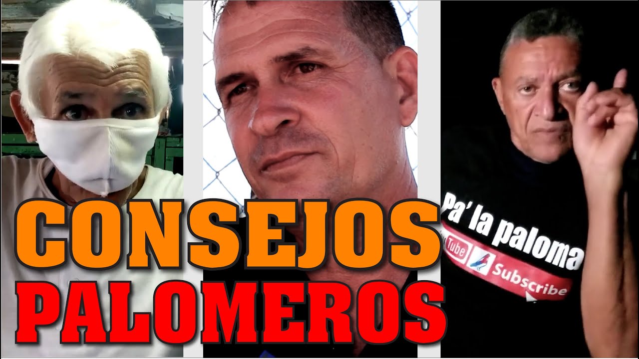 Palomeros de Conquista, aquí van Consejos y Recomendaciones.
