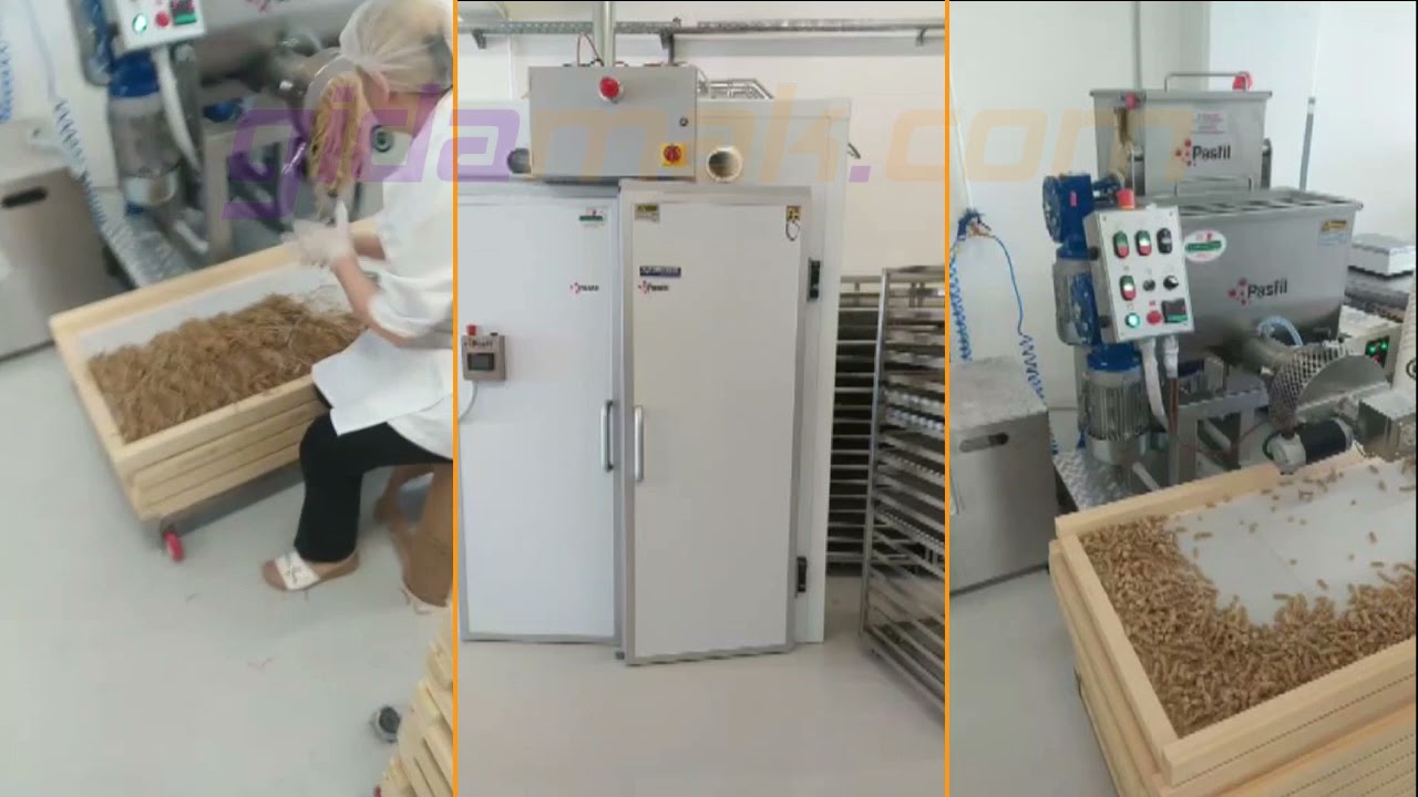 P100 Makarna Makinesi EC50 Kurutma Odası - Pasta Machine & Dryer