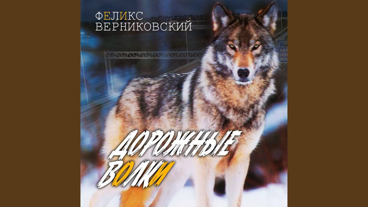 Дорожные волки