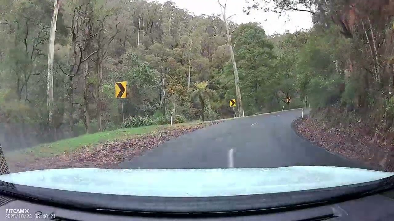 ASMR RELAXING DRIVING THROUGH RAINFORESTS IN AUSTRALIA