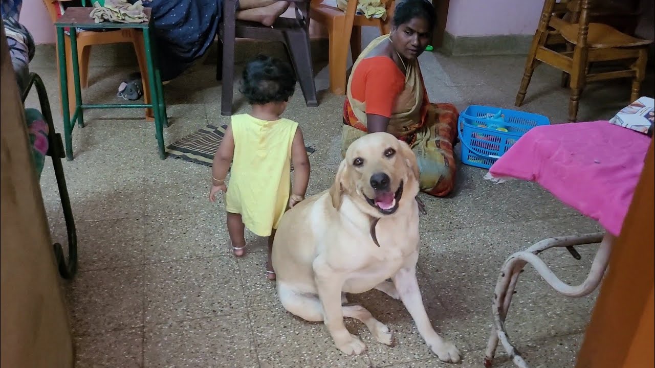 டேய் சோனமுத்தா போச்சா😂
