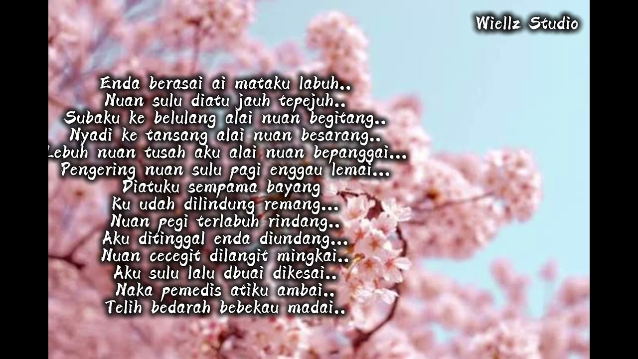 TELIH BEDARAH,BEBEKAU MADAI/LAGU IBAN BARU/AI SONG