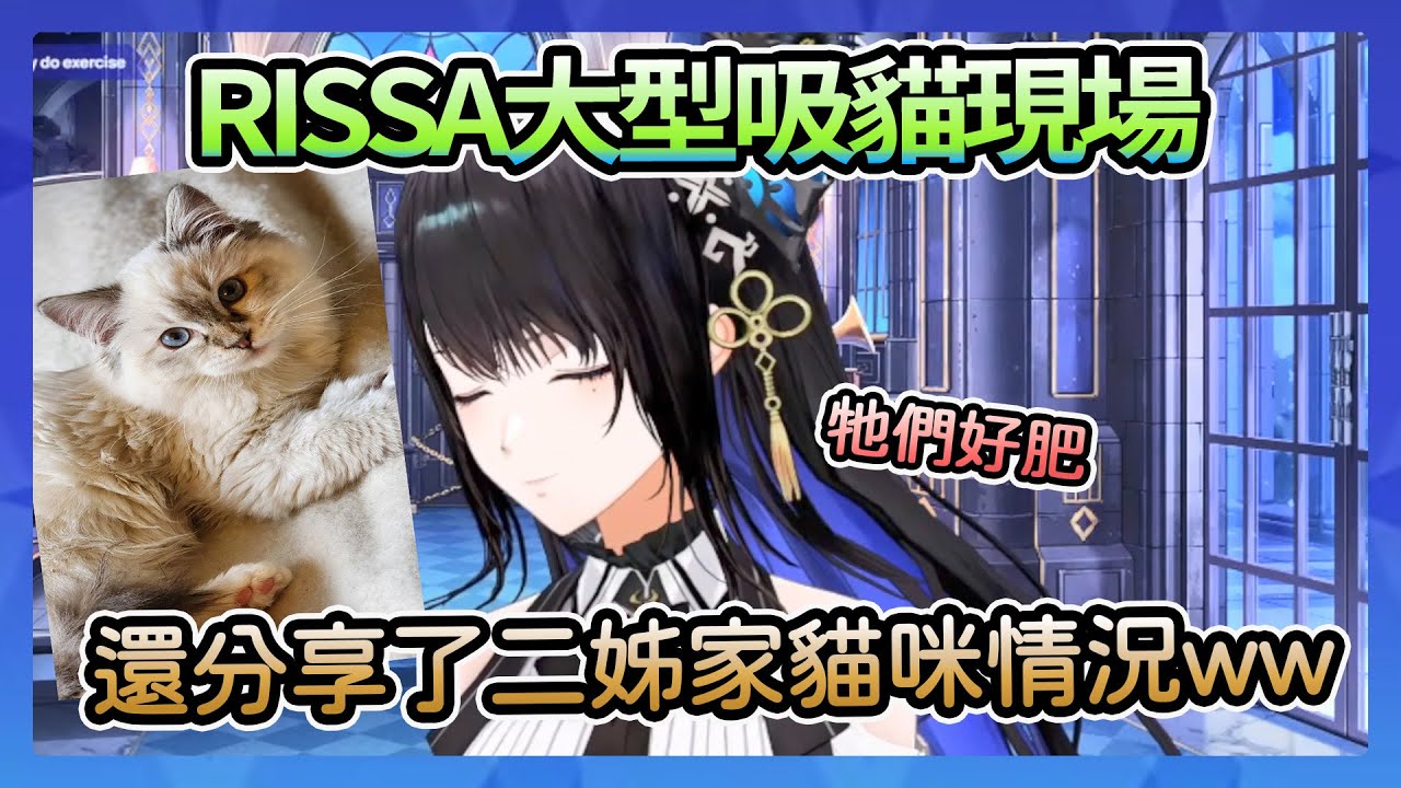 【Nerissa Ravencroft】大型吸貓現場，Rissa把小寶貝貓抱起來狂吸猛親，順便說了一下二姊家貓的情況www【Hololive中文翻譯】