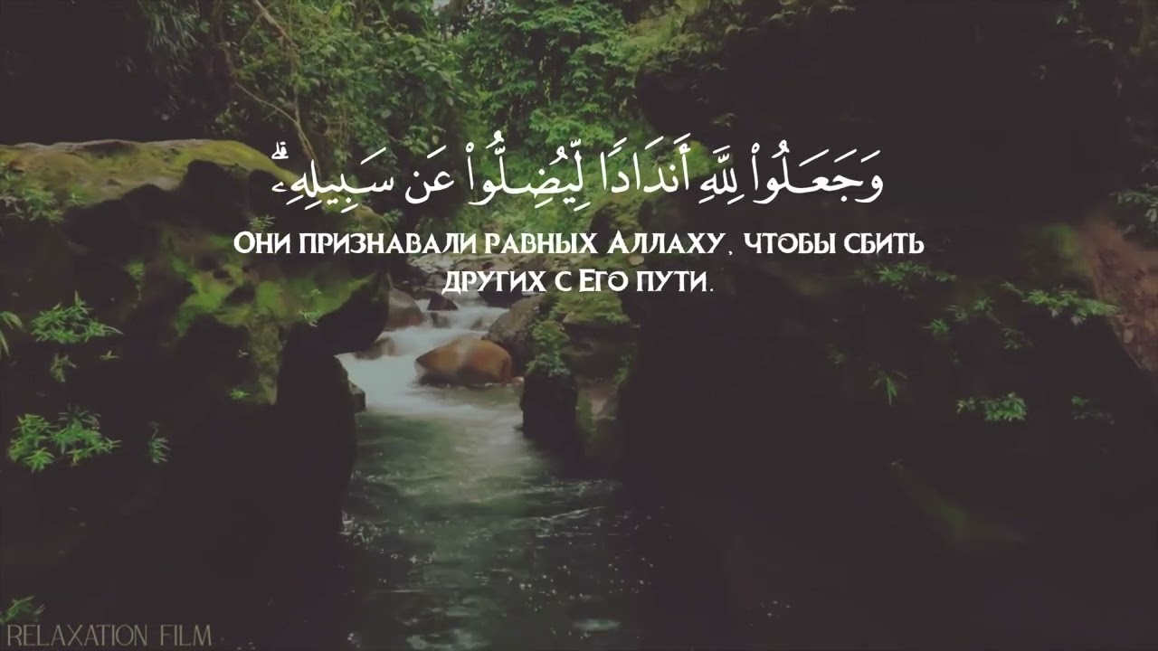 Сура 14 Ибрахим(Авраам), чтец Тарик Аль-Хавас