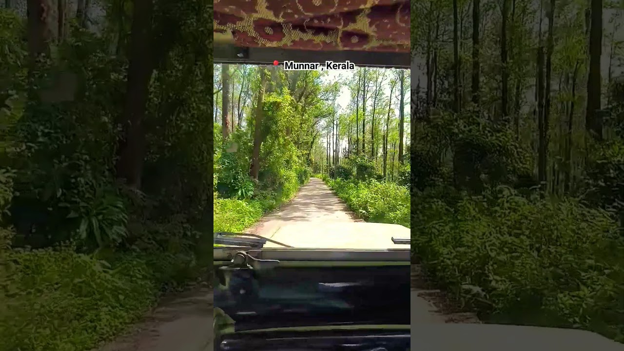 Jeep ride, Munnar🍃      
