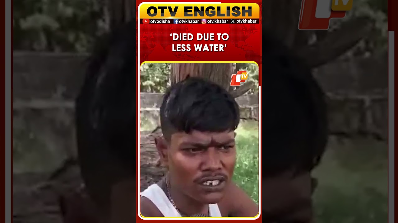 Dead Fish Removed From Sanjay Lake In Delhi, Clean-up Underway