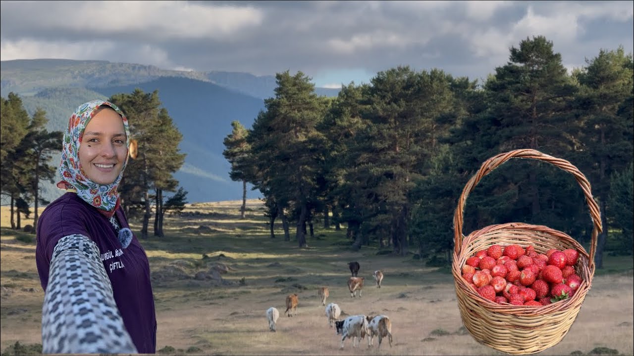DAĞ KÖYÜNDE EN GÜZEL YAŞAM