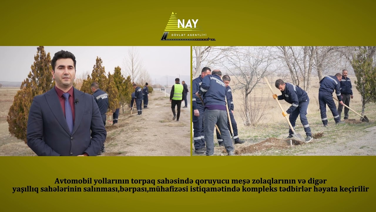 Yeni yaşıllıq zolaqları salınır