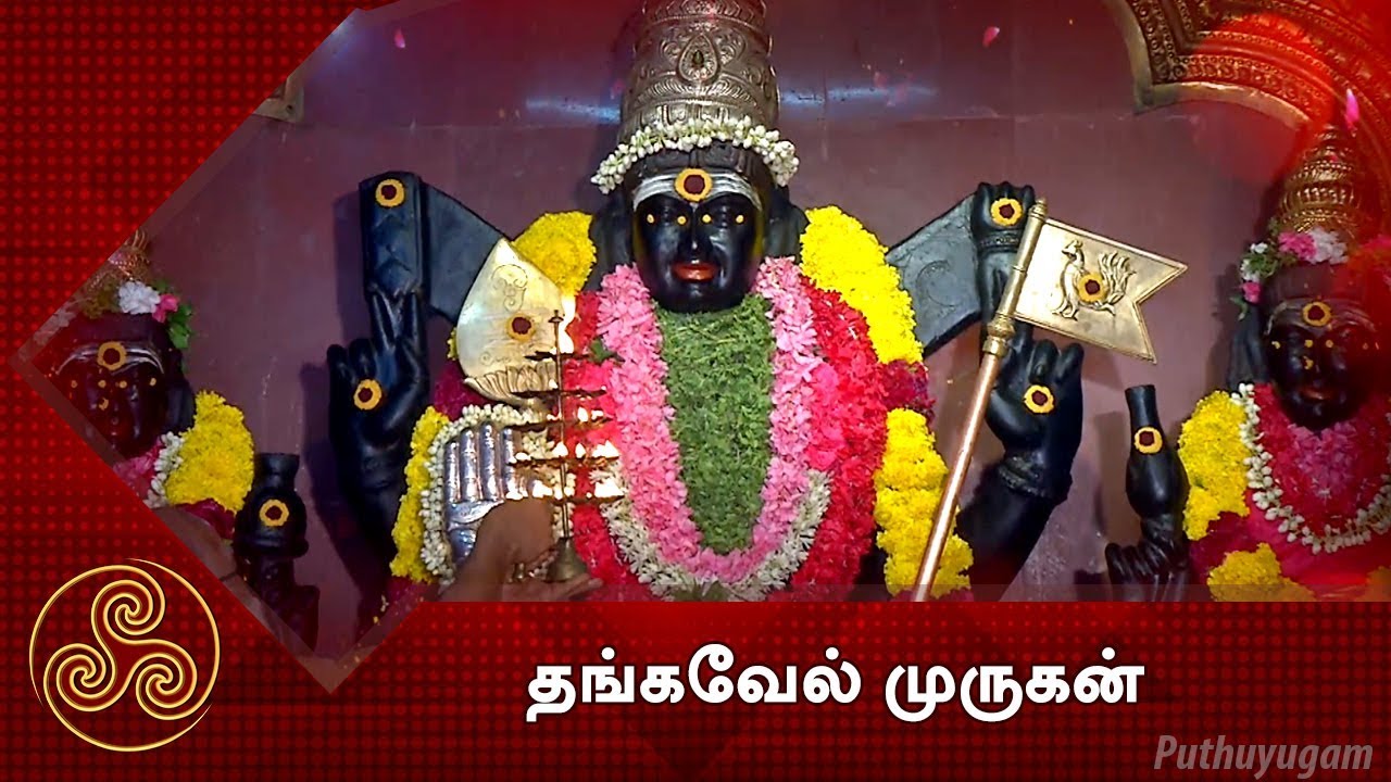 ஶ்ரீ தங்கவேல் முருகன் திருக்கோயில்  எடப்பாளையம் | Alayangal Arputhangal