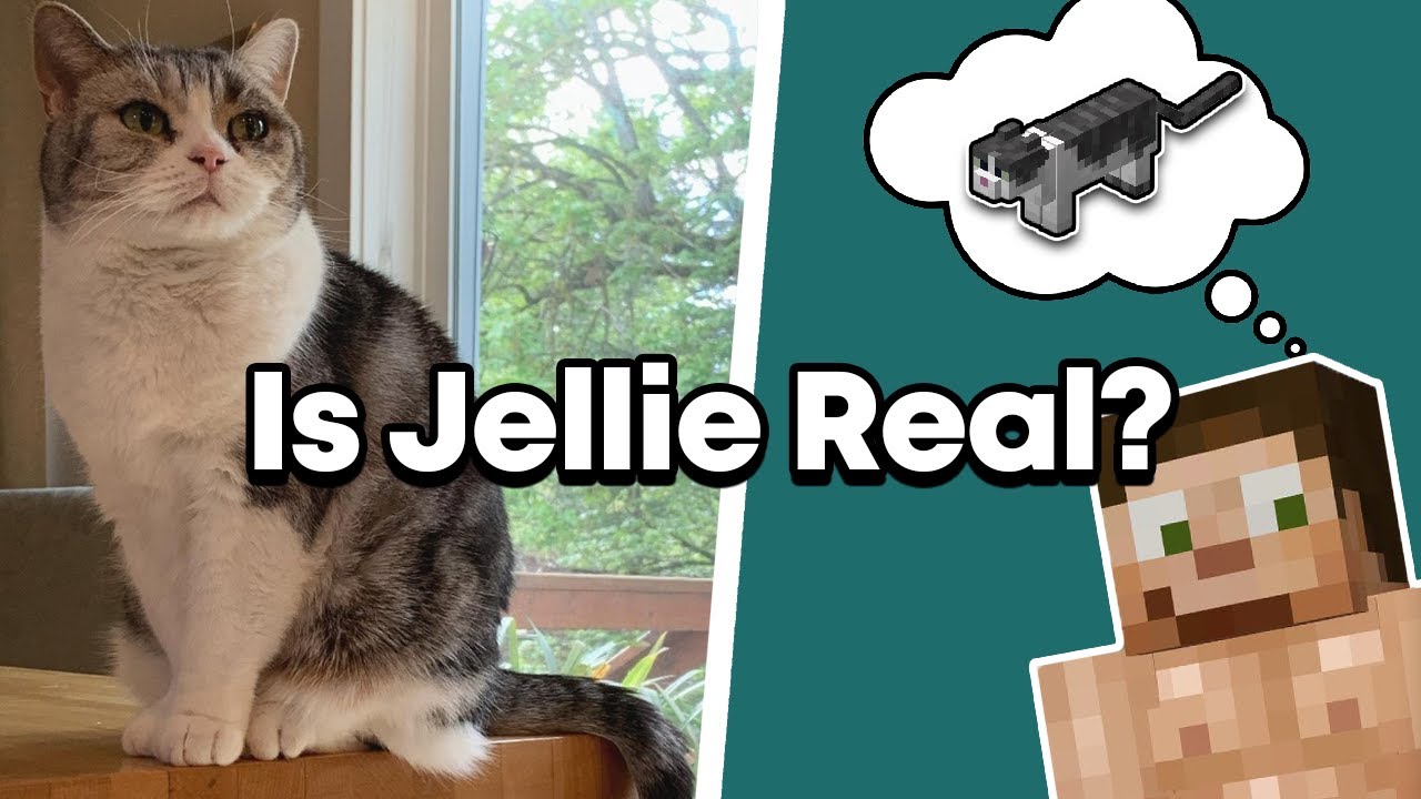 Is JELLIE Real Or Does GOODTIMESWITHSCAR Imagine Her? - Limited Life SMP