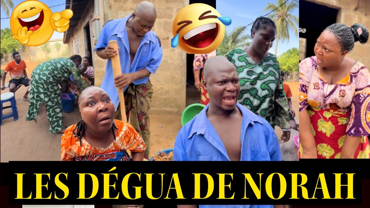 TOVIA, NORAH, JOJO L’OFFICIER, TOTORINO & Dr clem’s: Les dégâts de Norah 🤣// Nouvelles vidéos  drôle
