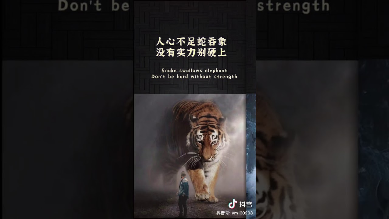 金典语录    #4