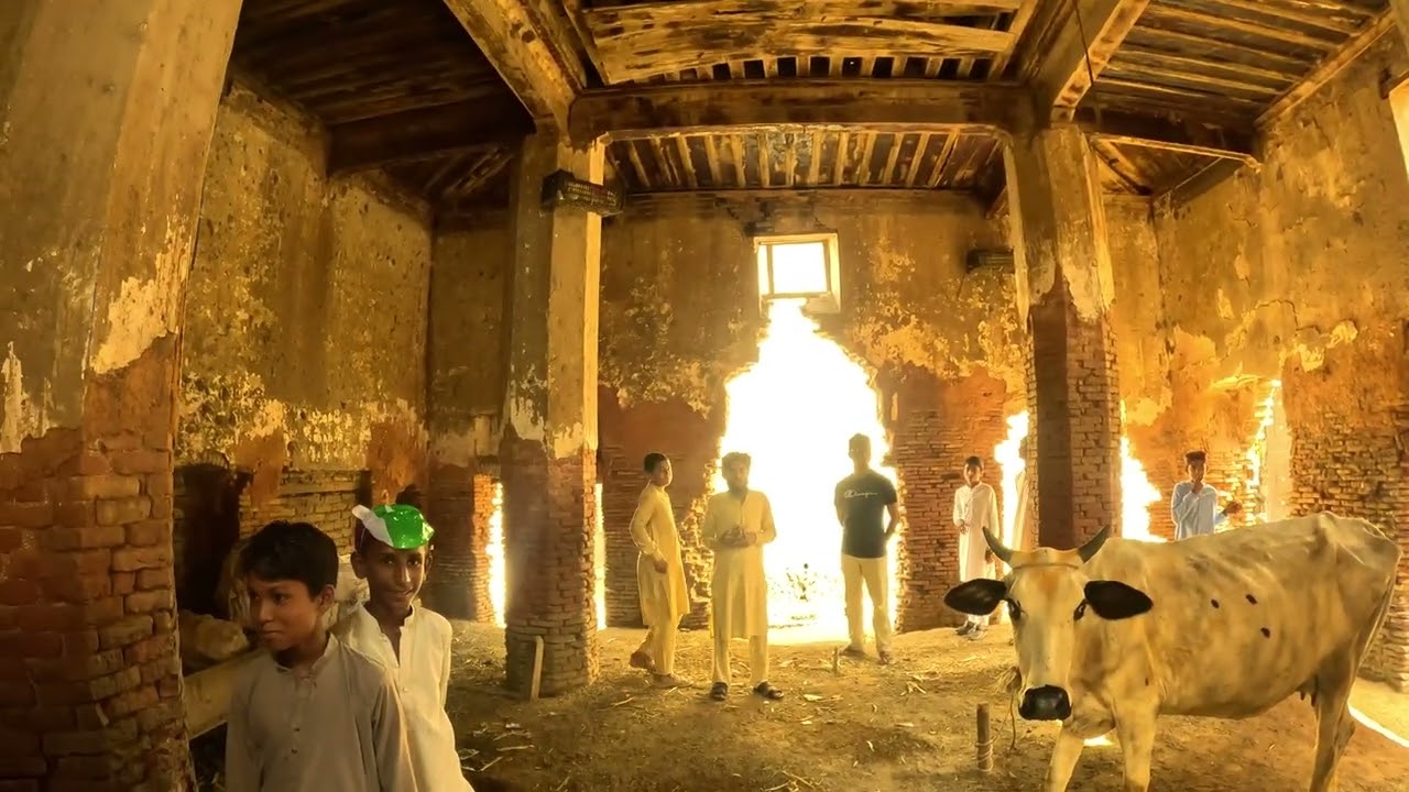 Hindu paatshalaa in Jhang, Pakistan | Temple in Pakistan | #patshala