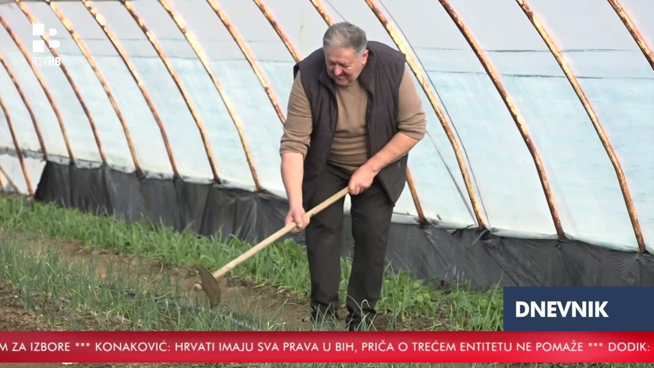 RTV HB | Zimski prinosi povrća zadovoljavajući, krenula i sjetva rasada proljetnih kultura