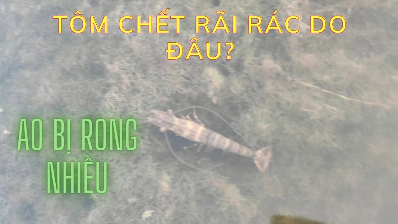 CHIA SẼ KINH NGHIỆM PH&Ograve;NG V&Agrave; XỬ L&Yacute; HIỆN TƯỢNG 