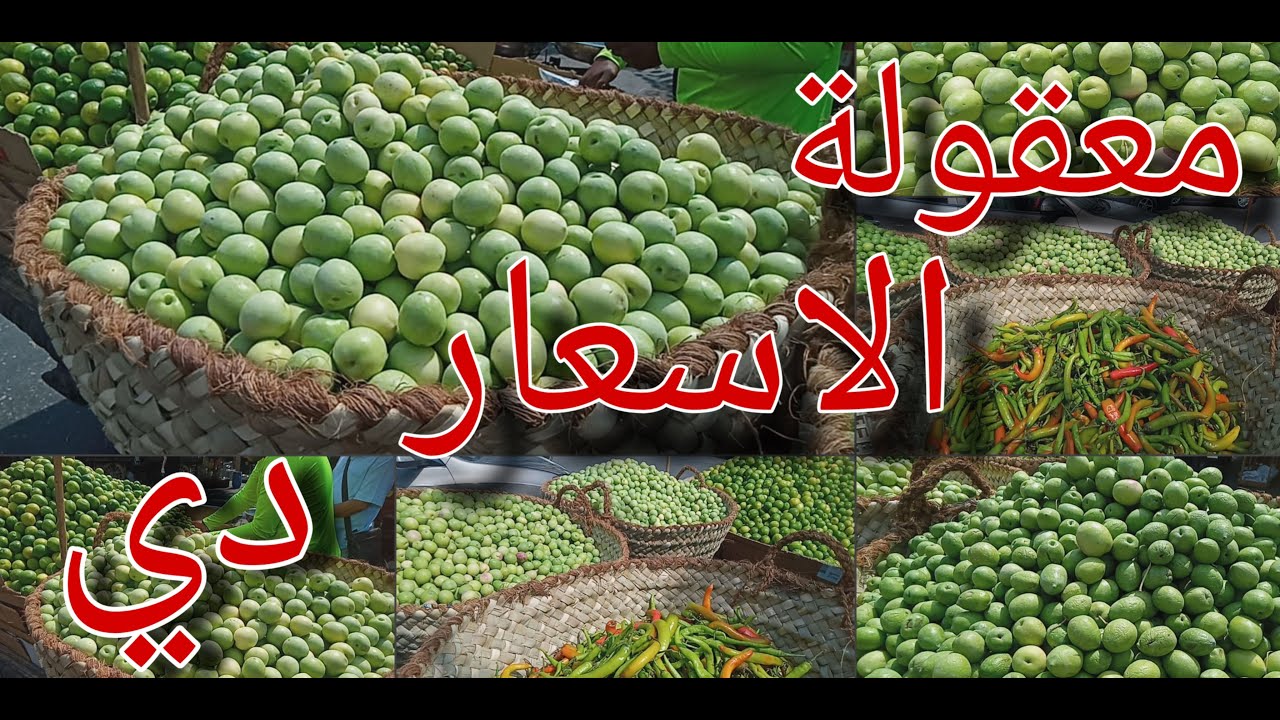 مش هتصدقوا 🤯 أسعار الزيتون الاخضر🌿🌿 2025 في سوق باب الشعرية💥  الاسعار خيالية 💯💯