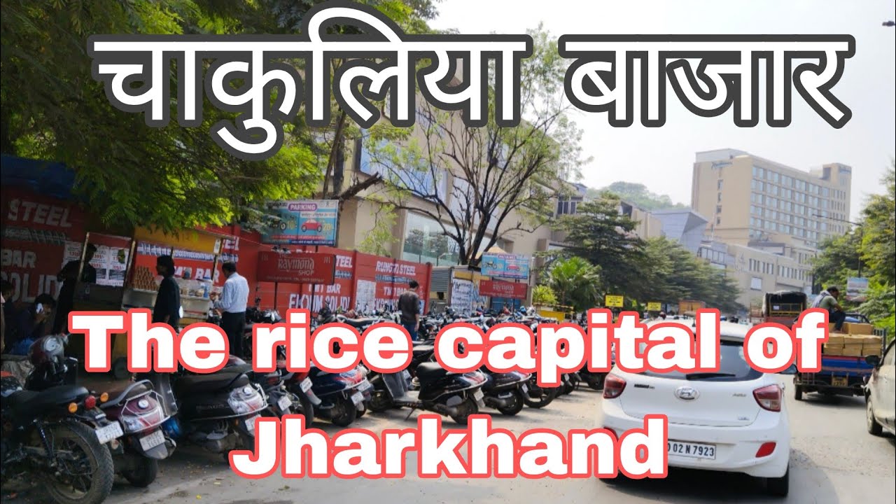 Chakulia ! More than 90% bamboo supplier for paper industry  | The rice capital of Jharkhand | 