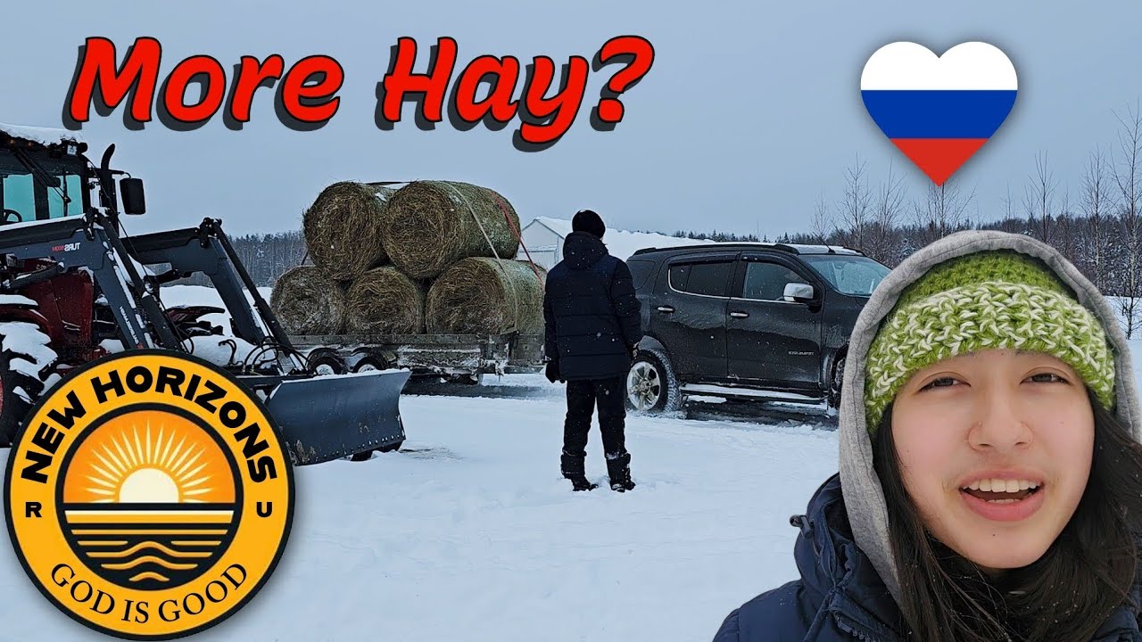 More Hay? 🚜 Dad's Challenge 🏅 Farming in RUSSIA 🇷🇺 ❤️