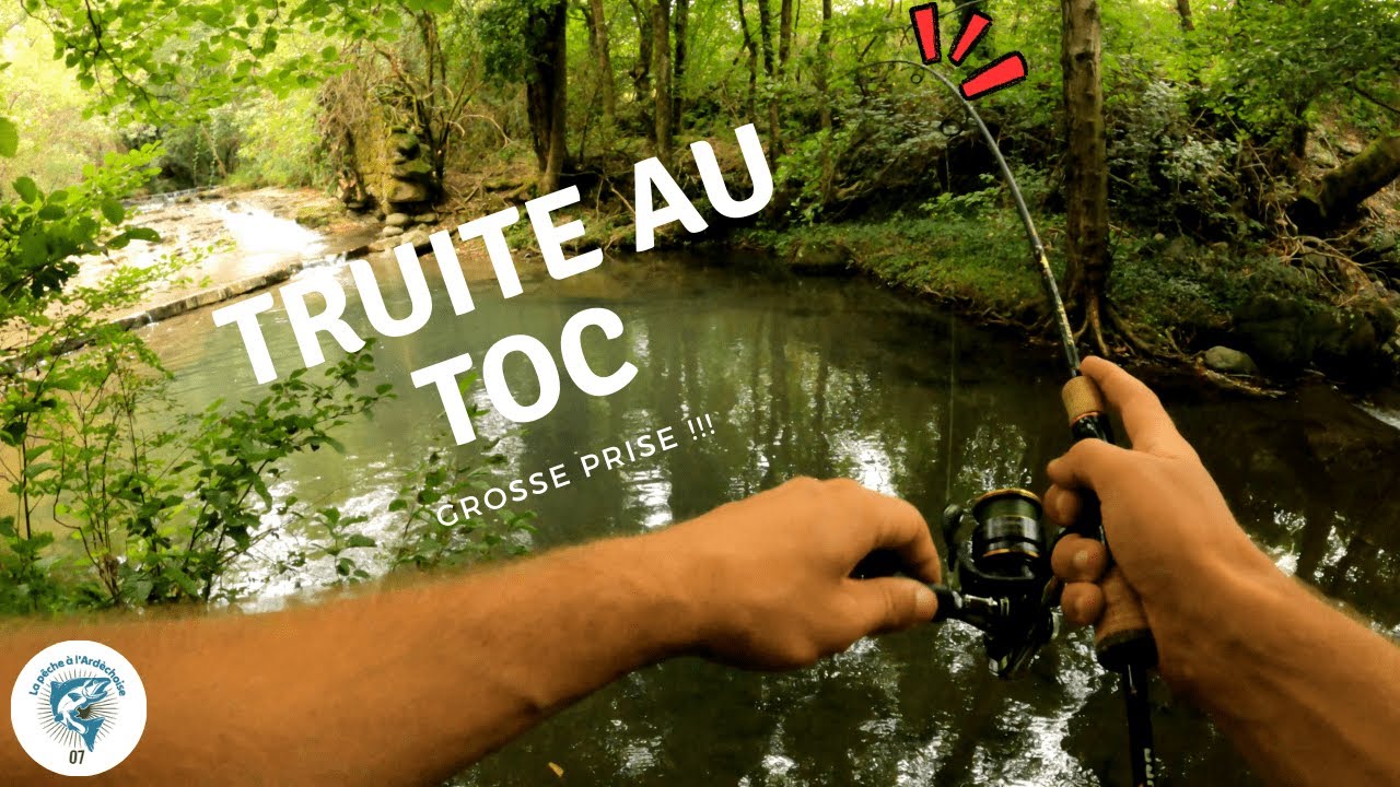 Pêche au TOC : cette technique est incroyable (TRUITE fario)